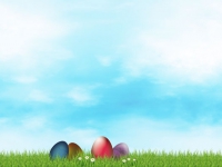 Eier im Gras 
